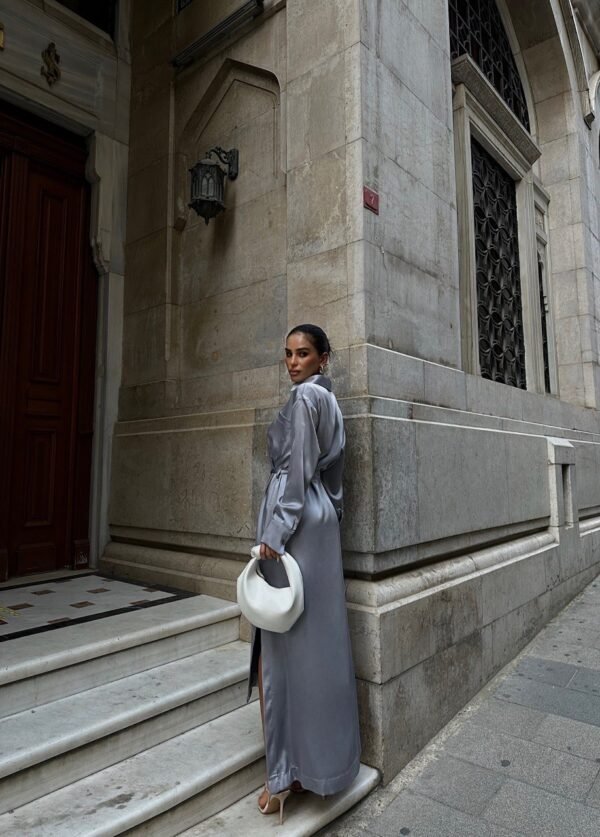 Satin Fabric Chic Dress - Image 3