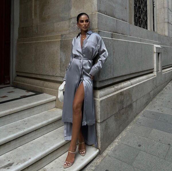 Satin Fabric Chic Dress
