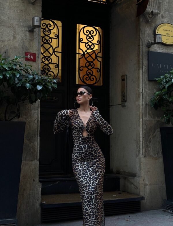 Animal Print Accessorized Dress - Image 6