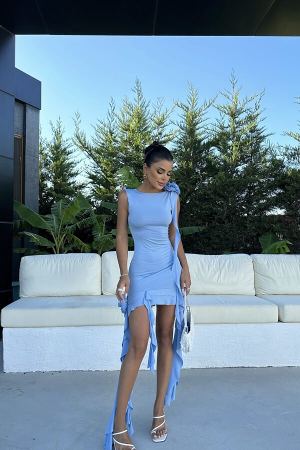 Ruffle Rose Detail Mini Dress