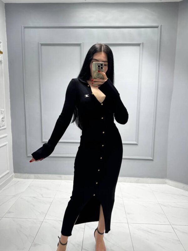 Celine Buttoned Long Dress