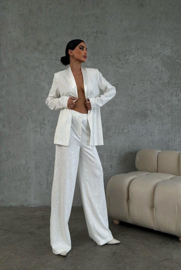 Sequin Detail Blazer Suit - Image 4